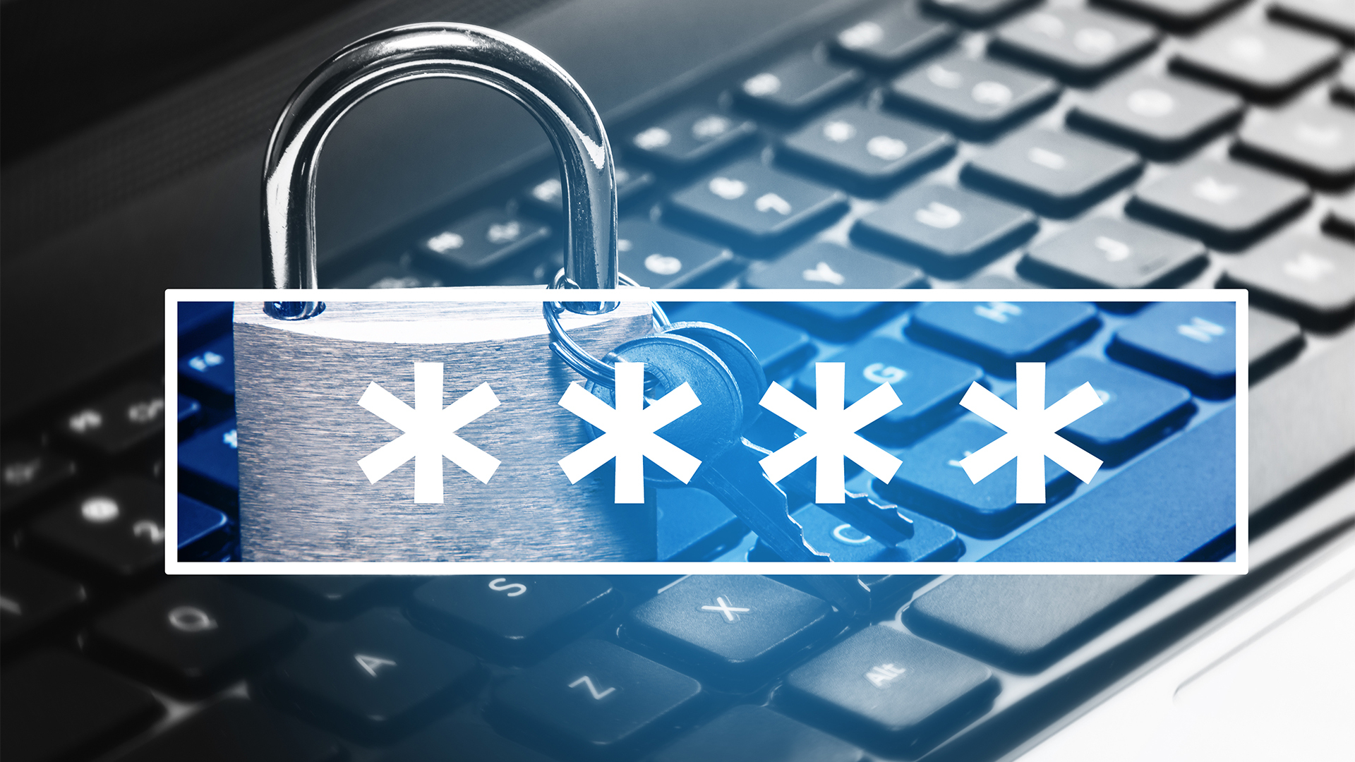 National Password Day: How We're Protecting Your Business Behind the Scenes